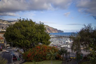 Funchal, Madeira 'daki marinayı gösteren muhteşem bir manzara. Limanı çevreleyen yemyeşil ağaçlar ve canlı bitkiler, teknelerin bir dağ ve mavi gökyüzüne kenetlendiği yer..
