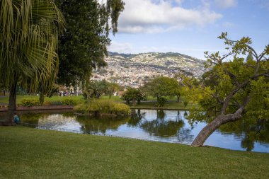 Bereketli yeşillik, güneşli bir günde arka planda görünen canlı Madeira şehriyle gökyüzünü yansıtan sakin bir göleti çevrelemektedir..