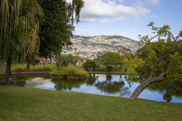 Bereketli yeşillik, güneşli bir günde arka planda görünen canlı Madeira şehriyle gökyüzünü yansıtan sakin bir göleti çevrelemektedir..