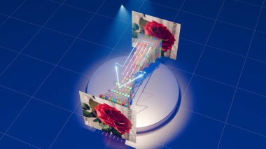 Bu çarpıcı 3D görüntüleme işlemi otomatik kodlayıcı sinirsel ağ kullanılarak gösterilir. Görselleştirme, gül çiçeğinin gürültülü görüntüsünün temiz bir şekle dönüşümünü yakalar.