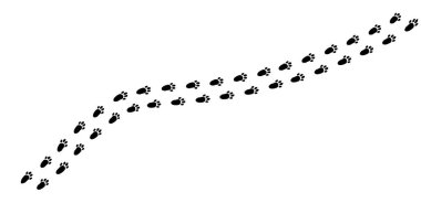 Bir dizi narin tavşan ayak izi el değmemiş karlı bir arazide geziniyor. Ayak izleri büyüleyici bir yol yaratıyor. Yaratıkların çevrelerini eğlenceli bir şekilde keşfetmelerini sağlıyor..