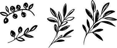 Çeşitli yapraklı ağaç dalları ve böğürtlenlerin el yapımı siyah beyaz çizimleri. Tasarımlarda doğal bir şekilde sergilenen yapraklar ve meyvelerden oluşan farklı şekiller ve düzenlemeler yer alıyor.