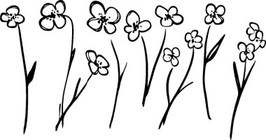 Basit hatları ve minimal detayları olan, çeşitli çiçek şekilleri ve ince gövdeleri olan el yapımı bir çiçek koleksiyonu..