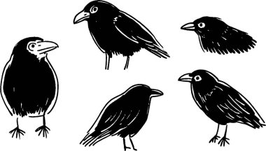 Farklı pozlar ve açılar sunan beş adet şekillendirilmiş siyah kuş çizimi koleksiyonu. Kuşların gagaları ve tüyleri gibi ayırt edici özellikleri vardır. Basit, sanatsal bir stile sahiptir..