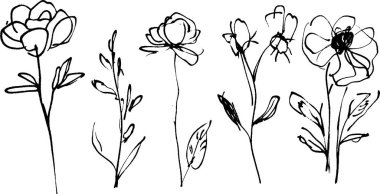 Minimalist tarzda beş el çizimi çiçek koleksiyonu, çeşitli şekil ve boyutlarda sergileniyor. Her çiçekte doğal güzelliklerini vurgulayan ince çizgiler ve basit detaylar vardır..