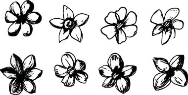 Çeşitli stil ve şekillerin yer aldığı el yapımı çiçek çizimleri koleksiyonu. Her çiçeğin farklı taç yaprakları ve merkezleri var, sanatsal çeşitlilik sergiliyorlar..