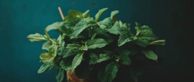 Nane buketi, canlı yeşil yapraklar, bir kurdeleyle bağlanmış, dekorasyon için mükemmel..