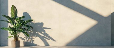 Yumuşak, gri bir zeminde, gölgesi olan bir bitki ile metin için boş boşluk.