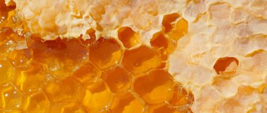 Bal peteği altın dokusunu gözler önüne seriyor, bal çağlayarak akıyor, doğal tatlılık sergiliyor..