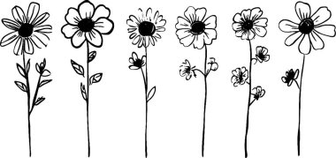 Her birinin tek bir gövdesi ve yaprağı olan, farklı şekil ve boyutlarda altı el çizimi çiçek koleksiyonu, basit ve sanatsal bir stil sergiliyor..