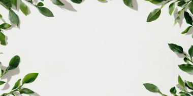 Güzel tasarlanmış bir pankartta, merkezinde canlı asma yapraklarıyla çerçevelenmiş boş bir alan sergileniyor. Temiz, zıt gölgeler zarafetini arttırır. Çeşitli promosyon ihtiyaçları için mükemmeldir..