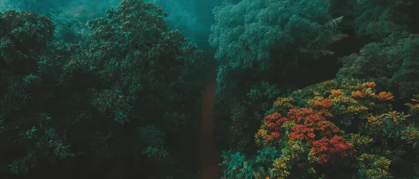 Gentle mist wraps around a serene forest path lined with vibrant autumn colors.
