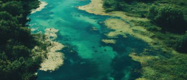 Değişik vahşi yaşam ve canlı renklerle dolu huzurlu bir bataklığın güzelliğini tecrübe edin..
