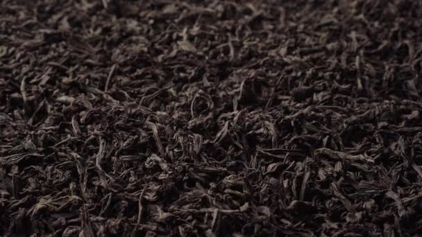 黒い大きな葉のお茶が山に注がれます クローズアップ サイドビュー — ストック動画