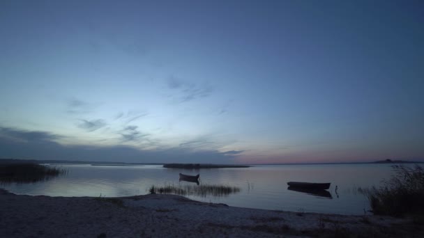 Bellissimo Paesaggio Serale Notturno Con Riva Spiaggia Canne Barche Legno — Video Stock