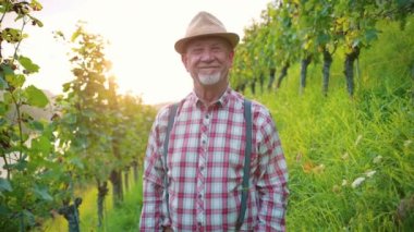 Kameraya bakıp gülümseyen orta yaşlı bir adamın portresi. Şarap üreticisi, kaliteli şarap üretimi için üzüm hasadı sonuçlarından memnun..