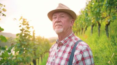 Kafkasyalı, şapkalı, yakışıklı, kıdemli bir çiftçinin portresi. Yan tarafa bakıyor ve üzüm bağları tarlasında düşünüyor. Kapat.