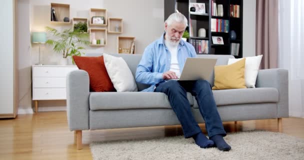 Jóképű Végzős Dolgozik Fehér Laptop Kanapén Figyelmes Öreg Férfi Ősz — Stock videók