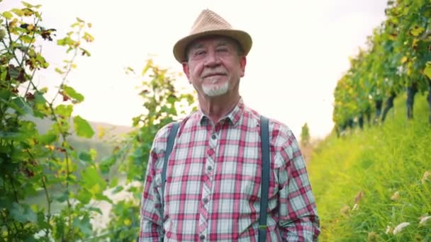 Portrait Bearded Middle Aged Man Looking Camera Smiling Winemaker Satisfied — Stock Video