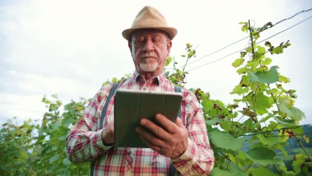 长胡子的中年男子在石碑上记录葡萄田的肖像 酿酒师对葡萄收获的结果感到满意 以促进高质量的葡萄酒生产 — 图库视频影像