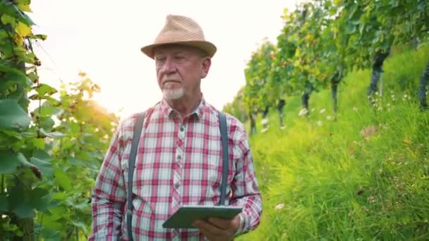 Rolnik Korzystający Tabletu Ogrodzie Starszy Naukowiec Pracujący Dziedzinie Technologii Rolniczych — Wideo stockowe