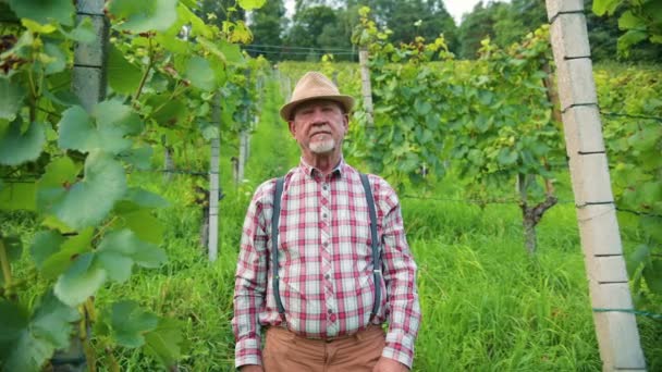 Portrait Happy Caucasian Male Farmer Looking Camera Vineyard Winemaker Crossing — Stock Video