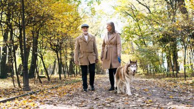 Sonbaharda parkta yaşlı, zarif, kır saçlı, sakallı bir kadınla yürüyen bir çift. Büyükbabam ve büyükannem köpeğimi gezdiriyorlar. Hoş çift konsepti.
