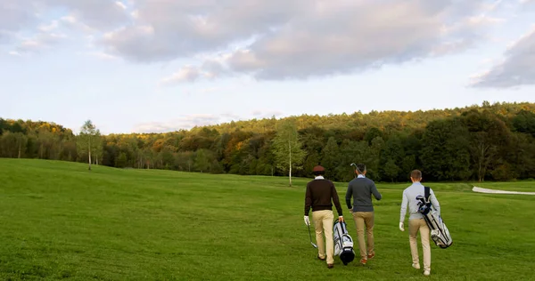 Three male friends with clubs and golf bags walking on the pitch. Golf players coming back from their game. Back view