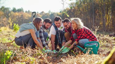 Team of friendly people in gloves planting tree seedling in garden and interacting for safe environment. Outside. Eco activists plant trees concept. Men and women volunteers for planet. Gardening.