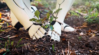 Close up of robot android planting tree seedling in ground in forest. Futuritic anti deforestation concept. Technology and environment concept. Humanoid in wood. Saving planet with technology.