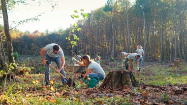 Couple of green planet activists planting trees in garden or wood and protecting nature. Outdoors. People working in park with tree seedlings on autumn day. Coworking for environment.