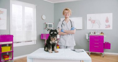 Smiling blonde doctor staying at hospital, crossing hands and looking at camera. Veterinarian in medical gown with stethoscope. Concept of pets care, veterinary, healthy animals