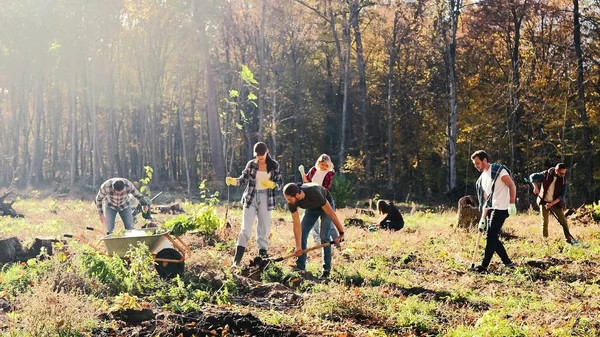 Eco Activists Volunteers Working Sunny Autumn Day Park Planting Seedlings — Foto Stock
