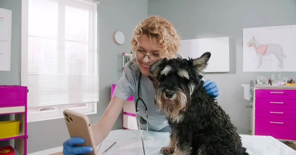 Woman veterinarian holding smartphone in her arms and making selfie with dog after successful examination at veterinary clinic. Concept of pets care, veterinary, healthy animals