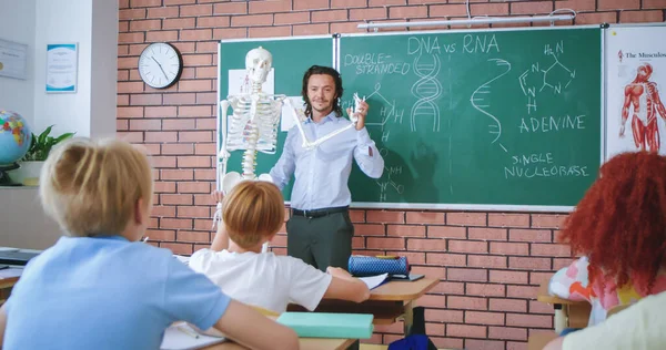 stock image Smart caucasian teacher explaining human anatomy to curious elementary students by showing on skeleton. Concept of childhood, science and education.