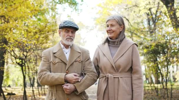 キャップで成熟した白髪の夫と秋に公園を歩いてコートでエレガントな妻が手を握って話を話しています ロマンチックな素敵なカップルのシニア男と女一緒に時間を過ごす — ストック動画