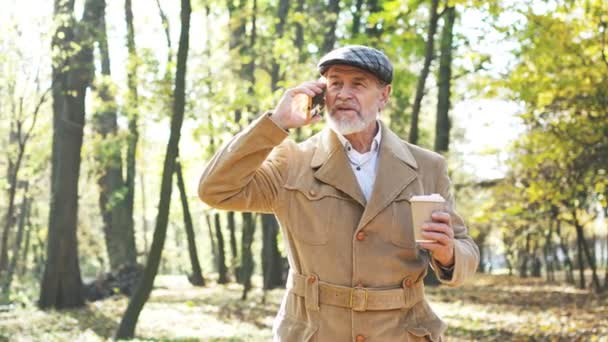 Αργή Κίνηση Ώριμος Γκριζομάλλης Επιτυχημένος Συνταξιούχος Που Περπατάει Στο Πάρκο — Αρχείο Βίντεο
