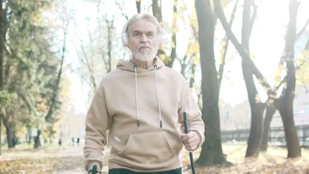 Sporty Serious Successful Handsome Grey Haired Man Walking Hiking Autumn — Stock Video
