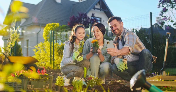 Kameraya gülümseyen ve akıllı telefondan görüntülü sohbet eden mutlu beyaz bir aile. Meyve bahçesinde çalışıyorum. Baba, anne ve kız bitkiler dikiyor ve cep telefonuyla görüntülü sohbet yapıyorlar..