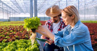 İki mutlu Kafkas çiftçisi hidroponik çiftlikten organik salata inceliyor. Sıradan giyinen yakışıklı adam, müşterilere en iyi ürünü sunmak için not tutuyor..