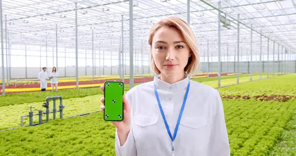 Eine Landarbeiterin Hält Ein Modernes Smartphone Mit Chroma Schlüsselbildschirm Der — Stockfoto