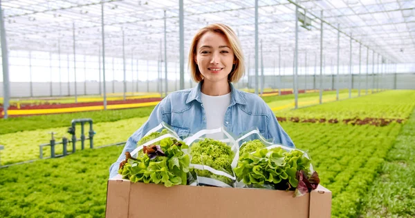 stock image Female greenhouse employee holding modern smartphone with green mock up screen during work at hydroponic greenhouse site. Agriculture business and organic greenery concept.