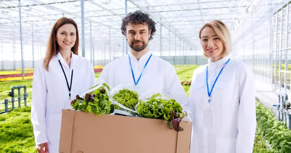 stock image Group of scientists in lab coats with clipboard and laptop in hands looking at camera during work at hydroponic farm. Coworkers monitoring growth of organic greenery at automated plantation.