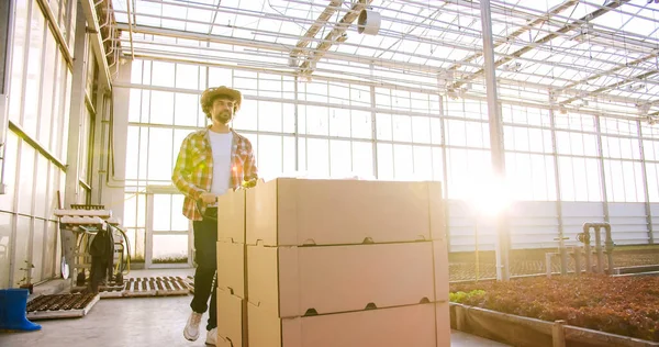 Ein Hübscher Gärtner Mit Strohhut Transportiert Einen Gabelstapler Mit Kartons — Stockfoto
