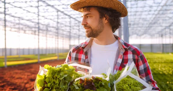 Hübscher Männlicher Agronom Freizeitkleidung Trägt Eine Schachtel Mit Grünem Salat — Stockfoto