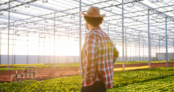 Happy caucasian man standing with hands on hips at modern hydroponic glasshouse of agricultural company. Portrait of smiling male employee looking at camera with green plants on background.