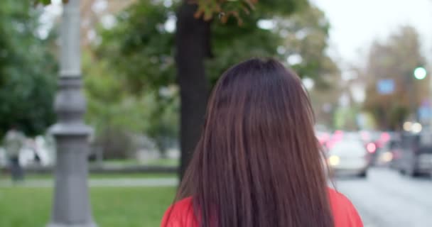 Задний Вид Кавказскую Молодую Привлекательную Радостную Женщину Длинными Брюнетками Прогуливающуюся — стоковое видео
