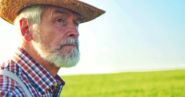 在蓝天的背景下 阳光灿烂的一天 一个留着胡子的老人在绿地上的画像 农民面对夏天的自然 农民概念 图库图片