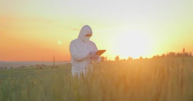 Koruyucu ekipman takan erkek çiftçi tablet bilgisayar uygulamalarını tararken ekolojik organik tarım bahçesindeki yeşil ekinleri inceliyor.