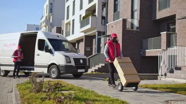 アフリカ系アメリカ人の配達人 バンからトロリーの小包箱を彫った クライアントに郵便小包を配達する方法に関する宅配便 — ストック動画